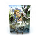 BD Angers - De Dumnacus au Roi René - TOME 1 - Editions Petit à Petit - La Boutique Angevine