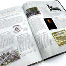 BD Angers - De Du Bellay au roi René - TOME 2 - Editions Petit à Petit - La Boutique Angevine